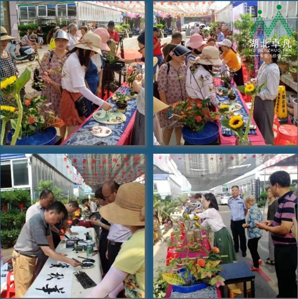 孝感花鳥市場 湖北卓凡